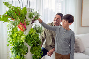 Connie Willis Coast to Coast AM host